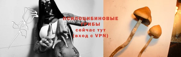 соль курить ск Михайловск