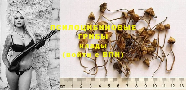 PSILOCYBIN Наволоки