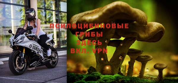 альфа пвп Михайловка