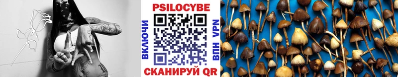 Псилоцибиновые грибы Cubensis  Саранск 