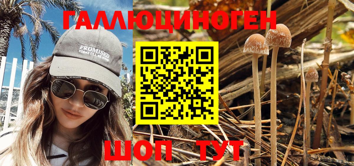 Галлюциногенные грибы мухоморы  купить закладку  Саранск  Псилоцибиновые грибы ЛСД 